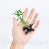 Framendino, 20 Pack Funny Bean Sprout Hair Clips Plant Grass Hair Barrette for Women
