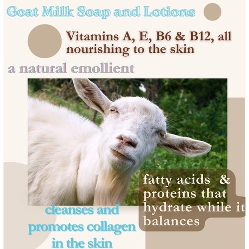 Goat Milk Soap Giftset- Bearded Greasemonkey Kit- Goatmilk & Activated Charcoal Soaps N°13 Removes Grease & Odors, N°14 Beard Wash, N°28Trailblazer- Vetiver, Tea tree & Citronell N°32 WELLNESS Detox