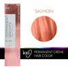 Ion Salmon Semi Permanent Hair Color Salmon