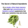 Gemsho Double Effect Black Serum Mascara 6g 워터푸르프 영양 마스카라 营养睫毛膏 (GS0001, BLACK MASCARA 6G), YELLO