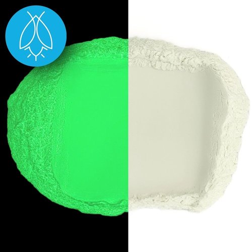 Glow in The Dark Pigment Powder - Neutral and Fluorescent Color for Art Painting, Fine Art, Nail Art Paint, and DIY Crafts - Non-Toxic, Long Lasting 10+ Color Options - Neutral Green - (1 Ounce)