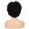 Sallcks Short Black Kinky Afro Wig for Black Women Short Curly Afro Wigs Natural Synthetic Curly Cosplay Costume Wigs with Wig Cap