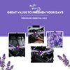 Car Air Freshener Vent Clips, 8 Pack, Provides Long-Lasting Scent, Up to 240 Days, Odor Eliminator (Lavender)