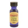 Champa Flower - Wildberry Scented Oil - 1/2 Ounce Bottle by Wildberry Oil by Wildberry Oil