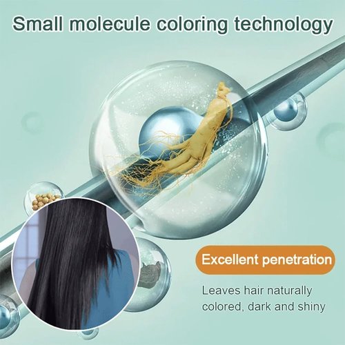 Natural Plant Hair Dye，Black Hair Dye New Botanical Bubble Hair Dye 20ml 10packs/Box，Pure Plant Extract For Grey Hair Color Bubble Dye, Hair Color For Gray Hair Coverage. (Black Teal)