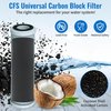 CFS – 1 Pack Activated Carbon Water Filter Cartridge Compatible with Watts 202000 Models – Remove Bad Taste and Odor – Whole House Replacement Filter Cartridge – 5 Micron – 10”, White