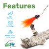 Kat Fly Cat Wand Refill Teaser Toy - Interactive Cat Wand Toy Attachments for Indoor Cat and Kitten, Cat Toy with Real Feather Best Cat Toys for Bored Cats, Cat Teaser Toy, Clown Fish (Orange)