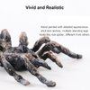 4 PCS Realistic Spider Figures, Gawertoy Giant Spider Action Models Plastic Animal Fake Spider Toys Educational Learning Toys Birthday Gift April Fools' Day Halloween Prank Props Christmas Party Favor