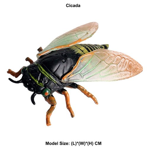 Flormoon Realistic Animal Figures Cicada Figurines Insect Toy, Science Project, Cake Topper, Early Educational Toys Birthday for Toddlers Kids Age 3 4 5