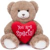 My OLi Valentine's Day Gift for Her 7” Plush Teddy Bear Stuffed Animal Plush Bear with Red Heart Plush Toys Valentines Bear for Babies Girlfriend Wife Mom, Brown