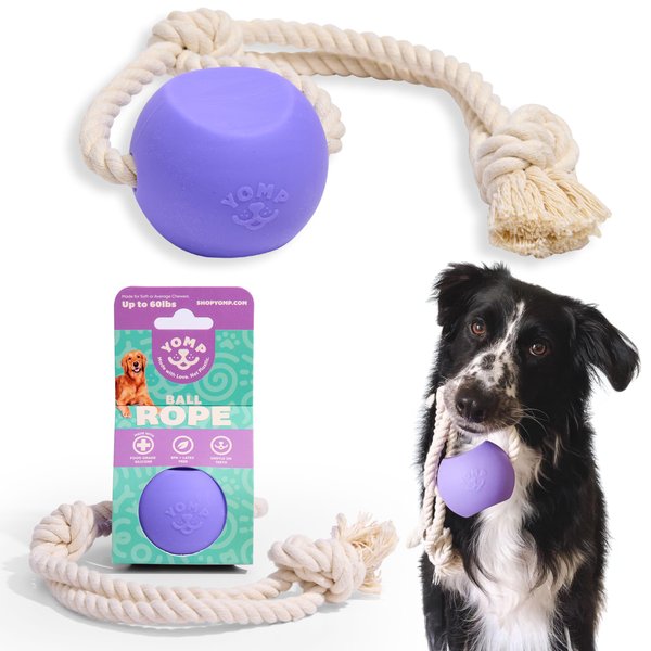 Yomp BallRope Ball on a Rope Dog Toy - Interactive Tug Ball for Dogs - Tug of War Dog Toy for Soft & Medium Chewers - Puppy Ball for Teething Dogs - Pet-Safe, Non-Toxic Silicone Dog Toy