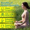 Tooffi Mullein Gummies for Lung Detox,2PACK Mullein Leaf herb Extract for Lung Cleanse Support, 2000mg Organic Mullein Herb Supplement for Daily Respiratory Health Gummies 60 Gummies