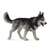 CollectA Dogs & Cats Siberian Husky Toy Figure