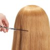 24"-26" 100% Human hair Mannequin head Training Head Cosmetology Manikin Head Doll Head with free Clamp (Blonde Hair)