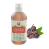 Natural Shampoo for Oily Hair & Scalp - Organic, Raw & Wildcrafted with Probiotics, Hypoallergenic & Sulfate Free Herbal Shampoo for Oil Control, Dandruff, Seborrheic Dermatitis - 9 Oz, Original