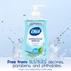 Dial Antibacterial Liquid Hand Soap, Spring Water, 11 Fl Oz
