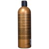 Bed Head Tigi bedhead colour goddess conditioner 25.36 fl oz
