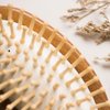 TAN MUJIANG Hair Brush for Women Natural Wood Antistatic YM3-2