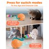 SALFSE Interactive Cat Ball Toy for Bored Indoor Cat, Automatic Moving Cat Ball with 4 Feather & LED Flash Lights, Smart Sound and Touch Control, USB-C Rechargeable