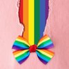 Whaline 6Pcs Gay Pride Day Rainbow Hair Bow with Clip Grosgrain Rainbow Hair Pins Bow Hair Barrettes Holiday Hair Accessories for Girls Women Wedding Birthday Gifts