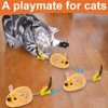 Remote Control Mouse Toy,2024 New Remote Control Cat Toys Mice Electronic Moving Toy,Interactive Cat Toy Mouse Moving Cat Toys for Indoor Cats