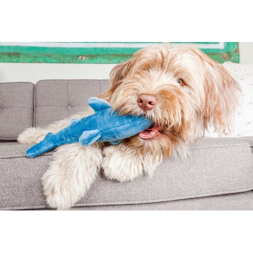 Tank The Shark Tuff Dog Toy