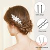 TsMADDTs Hair Pins for Women, 2.4 Inch U Shaped Hair Pin 50Pcs Brown and 50Pcs Balck Ballet Bun Pin with Storage Box
