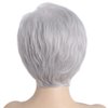 SYXLCYGG Short Silver White Wig Old Lady Wigs Wavy Synthetic 2.7 OZ Older Ladies Womens Hair Wigs Fluffy Thin and full Free Wig Cap