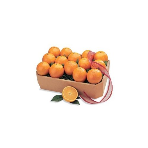 Juicy Indian River Florida Navel Oranges Grove Fresh 15lbs, 1.5 Trays