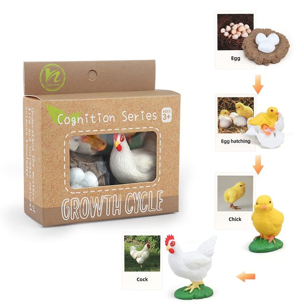 Montessori Chicken Life Cycle with Flash Cards, Realistic Animal Figurines Toy, Animal Educational Matching Game for 3+ Year Old Toddlers Kids (Cock)