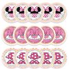 NF ORANGE 30pc Minnie Party Plates, Minnie Party Supplies ，Minnie Birthday Party Decorations Supplies (pink)