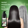 Ammonia-Free Herbal Hair Shampoo - Effectively Covers Gray Hair for Men and Women - Natural Color and Herbal Nourishment - No Stain on Skin - Natural Black (400 ml)