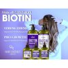 Hair Chemist Biotin Scalp Stimulator 7.1 Ounces - Scalp Treatment for Hair Growth, Biotin Scalp Oil Treatment