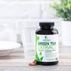 Green Tea Extract Capsules 1000mg 98% Standardized EGCG - 3X Strength for Natural Energy - Heart Support with Polyphenols - Gentle Caffeine - 240 Capsules