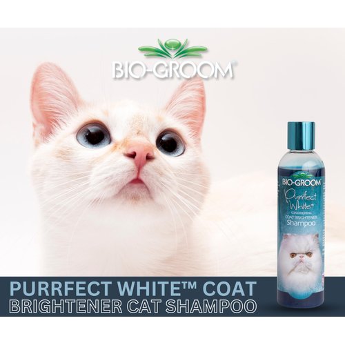 Bio-Groom Purrfect White Cat Shampoo – Color Enhancing Pet Shampoo, Cat Bathing Supplies, Kitten Wash, Cat Grooming Supplies, Cruelty-Free, Made in USA, Coat Brightener Shampoo – 8 fl oz 1-Pack