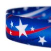 Country Brook Petz - 1/2 Inch Star Spangled Dog Leash - 6 Feet