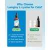 Lysine Supplement for Cat, Immune Support for Cats, with L-Lysine HCI, Niacinamide, L-Taurine, Folic Acid, Vitamins, Runny Nose, Sneezing & Allergy Relief, Respiratory Health, Eye Function Supplement