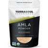 Terrasoul Superfoods Organic Amla Berry Powder (Amalaki), 16 Oz - Rich in Antioxidant Vitamin C | Supports Immunity