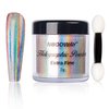 NODDWAY Holographic Powder 0.07oz/2g, 10 Micron Chrome Fine Powder for Epoxy Resin/Nails, Rainbow Holographic Powder Mirror Nail Pigment Powder
