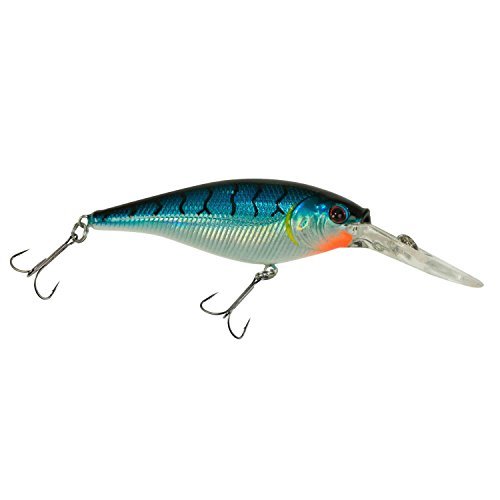 Berkley Flicker Shad Fishing Lure, Blue Tiger, 5/16 oz, 2 3/4in | 7cm Crankbaits, Size, Profile and Dive Depth Imitates Real Shad, Equipped with Fusion19 Hook