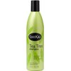 ShiKai Tea Tree Shampoo (12oz, Pack of 2) With Peppermint & Tea Tree | Refresh & Stimulate Your Scalp | Soap Free Alternative | Moisture for Daily Use