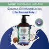 Coco Fiji Face & Body Lotion Infused With Coconut Oil | Lotion for Dry Skin | Moisturizer Face Cream & Massage Lotion for Women & Men | Night Blooming Jasmine 12 oz, Pack of 1