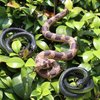 Darovly 3Pcs Rubber Snakes Realistic Fake Snakes Rattlesnake- Garden Props to Keep Birds Away-Scare Birds and Squirrels for Gag Toys Pranks Party Favors Halloween Decoration