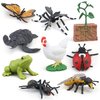 Montessori Life Cycle Animal Figures with Flash Cards, Realistic Animal Figurines Toy, Animal Educational Matching Game for 3+ Year Old Toddlers Kids (Turtle)