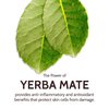 Infuse Under Eye Cream Anti Aging - Yerba Mate Radiance Eye Cream For Puffiness And Bags Under Eyes Dark Circle Defense for Mature Skin Hydrating Niacinamide Fine Line Reducer Caffeine Eye Cream 15 ml