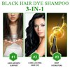ALIVER Hair Dye Shampoo (Black) - 3-in-1 Natural Herbal Essence: Coloring, Nourishing, and Hair Growth Promoter - 500ml, Hypoallergenic and Harmless for Scalp Care