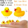 Rubber Ducky Baby Bulk Bath Toy Shower Birthday Party Favors Gift, Set of 50