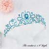 CIEHER Princess Crown and Birthday Sash Set, Blue Birthday Crown Birthday Girl Crown Birthday Tiara for Women Birthday Decorations for Girls Happy Birthday Accessories Birthday Gifts