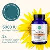 Ora Organic Vitamin D3 2000IU - Vegan Vitamin D Chewables from Lichen for Bone Health, Immune Support, & Mood | Maximum Absorption - 1 Month Supply, 30 Vegan Chewable Vanilla Tablets