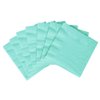 Robin's Egg Blue 2-Ply Dinner Napkins | Pack of 20 | Party Supply